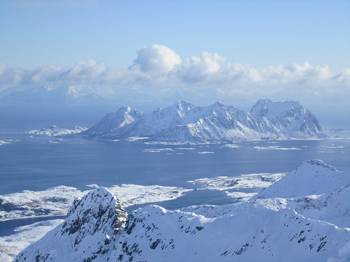 Rows of Tasty Peaks